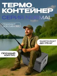 Термоконтейнер TERMOBOX Бытовой Normal, 46 л, 600х400х320 мм, 40кг/м3