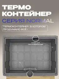 Термоконтейнер TERMOBOX Бытовой Normal, 84 л, 800х600х320 мм, 40кг/м3