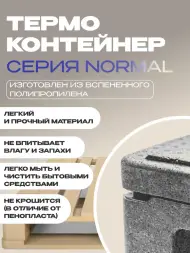 Термоконтейнер TERMOBOX Бытовой Normal, 131 л, 800х600х450 мм, 40кг/м3